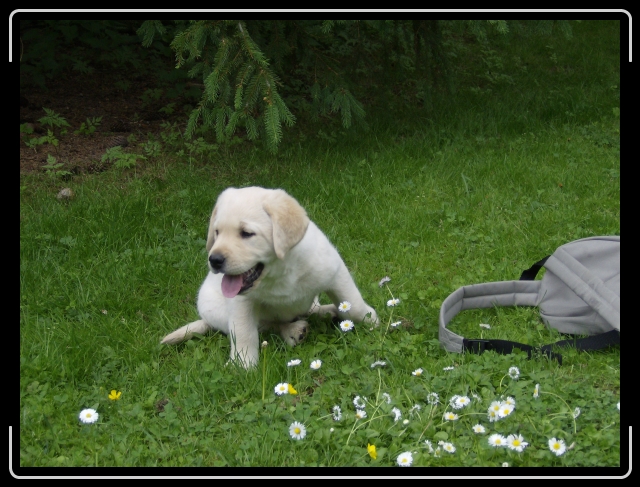 N�sta bild