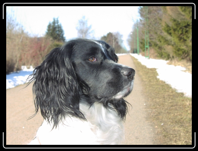N�sta bild