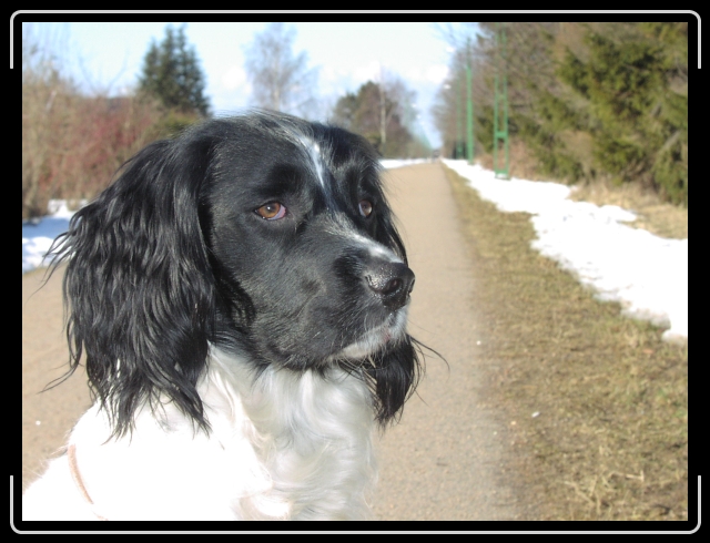 N�sta bild
