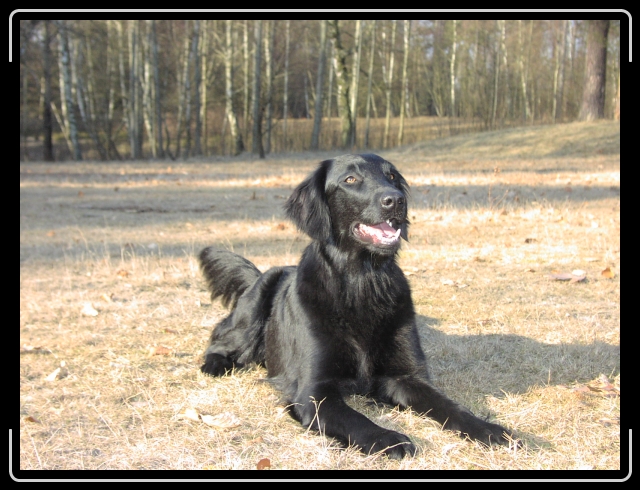 N�sta bild