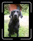 HPIM0166 * Inka * 1920 x 2576 * (2.17MB)