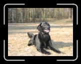 P1016 * Wilda * 1600 x 1200 * (434KB)