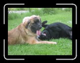 nmkf (10) * Pimpim & Wesley * 1600 x 1200 * (748KB)